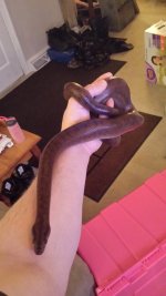 20161221_212217.jpg