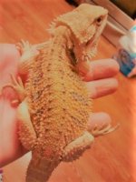 thumbnail_IMG_20161121_174741051.jpg