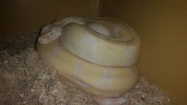 20160830_093310.jpg