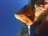 IMG_0003.jpg