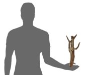 Mw16size.jpg