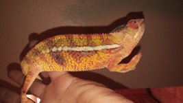 20160812_162745.jpg