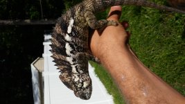 20160811_164458.jpg