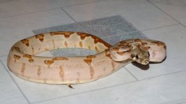 DSCF8589.jpg