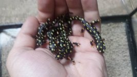 20160825_162917.jpg