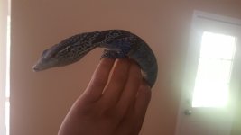 20160820_143529.jpg
