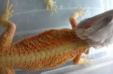 20160807_132814.jpg