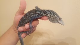 20160821_192037.jpg