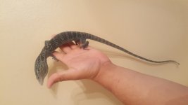 20160821_192053.jpg