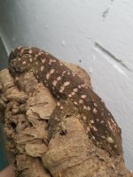 20160907_235333.jpg