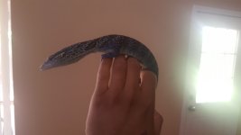 20160820_143524.jpg