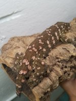 20160907_235349.jpg