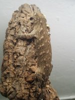 20160907_235924.jpg