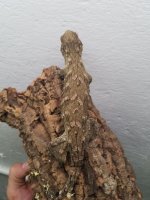 20160908_000020.jpg