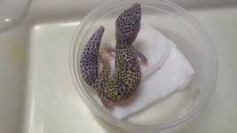 20160818_083503.jpg