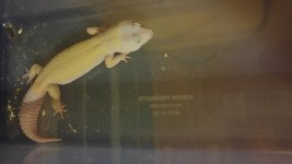 20160821_210107_HDR.jpg
