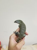20160908_131459.jpg