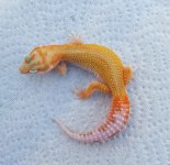 20160816_182635.jpg