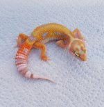 20160816_182145.jpg