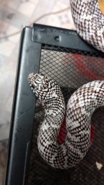 IMG_20161016_144215125_TOP.jpg