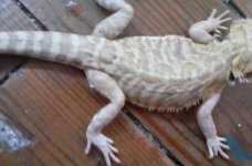 20160807_145623.jpg