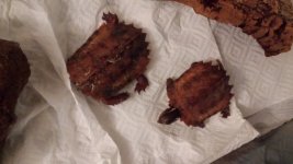 20161029_000438.jpg