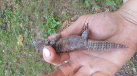 20160921_165615.jpg