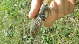 20160918_104115.jpg