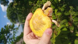 20160712_164459.jpg