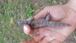 20160921_165617.jpg