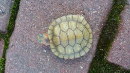 20161017_154627.jpg