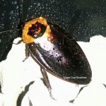 2014-11-20_21.18.04.jpg