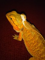 IMG_20160825_175825.jpg
