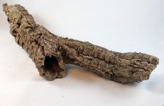PC39a.jpg