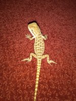 IMG_20160824_202310.jpg