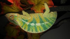 20170110_210516.jpg