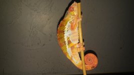 20160801_213303.jpg