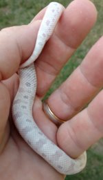 IMG_20160830_095212.jpg