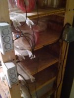 IMG_20161110_074131174.jpg