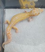20160928_151539.jpg