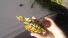 20160812_123444.jpg