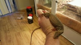 unnamed.jpg