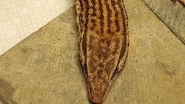 20160922_184630.jpg
