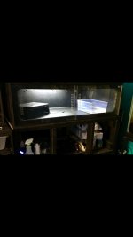 IMG_1132.jpg