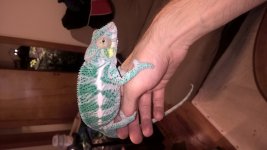 WP_20160809_13_05_18_Pro.jpg