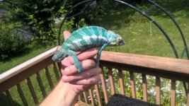 WP_20160809_12_46_02_Pro.jpg