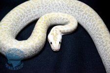 DSC_4813.jpg