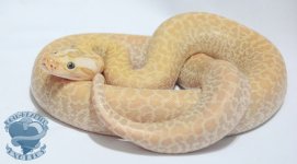 DSC_4282.jpg