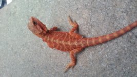 20161110_094013.jpg