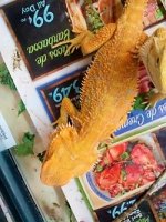 thumbnail_IMG_20161222_113848634.jpg